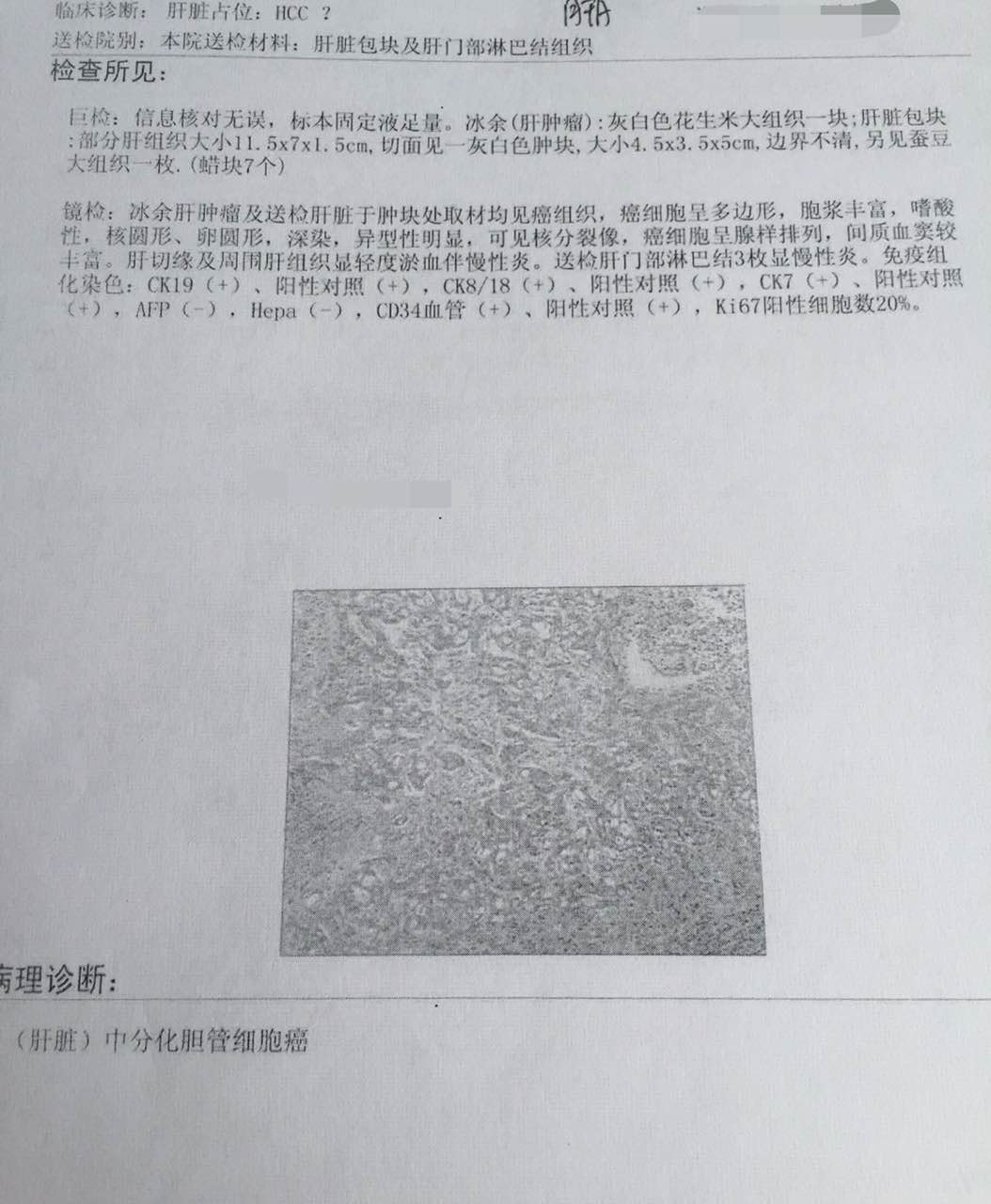 病理