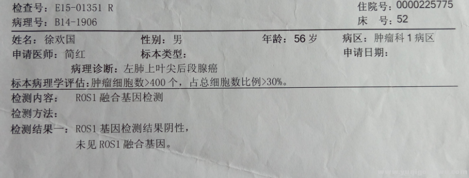 医院基因报靠