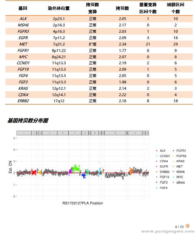 看看这活跃的MET