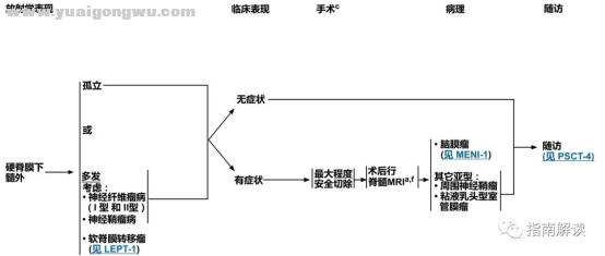 中枢神经系统肿瘤2324.png