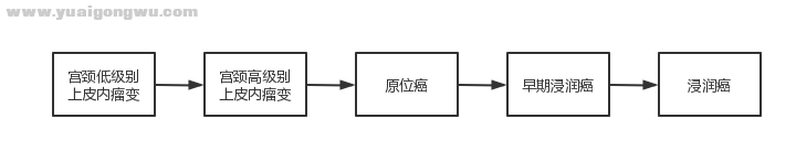 8.png