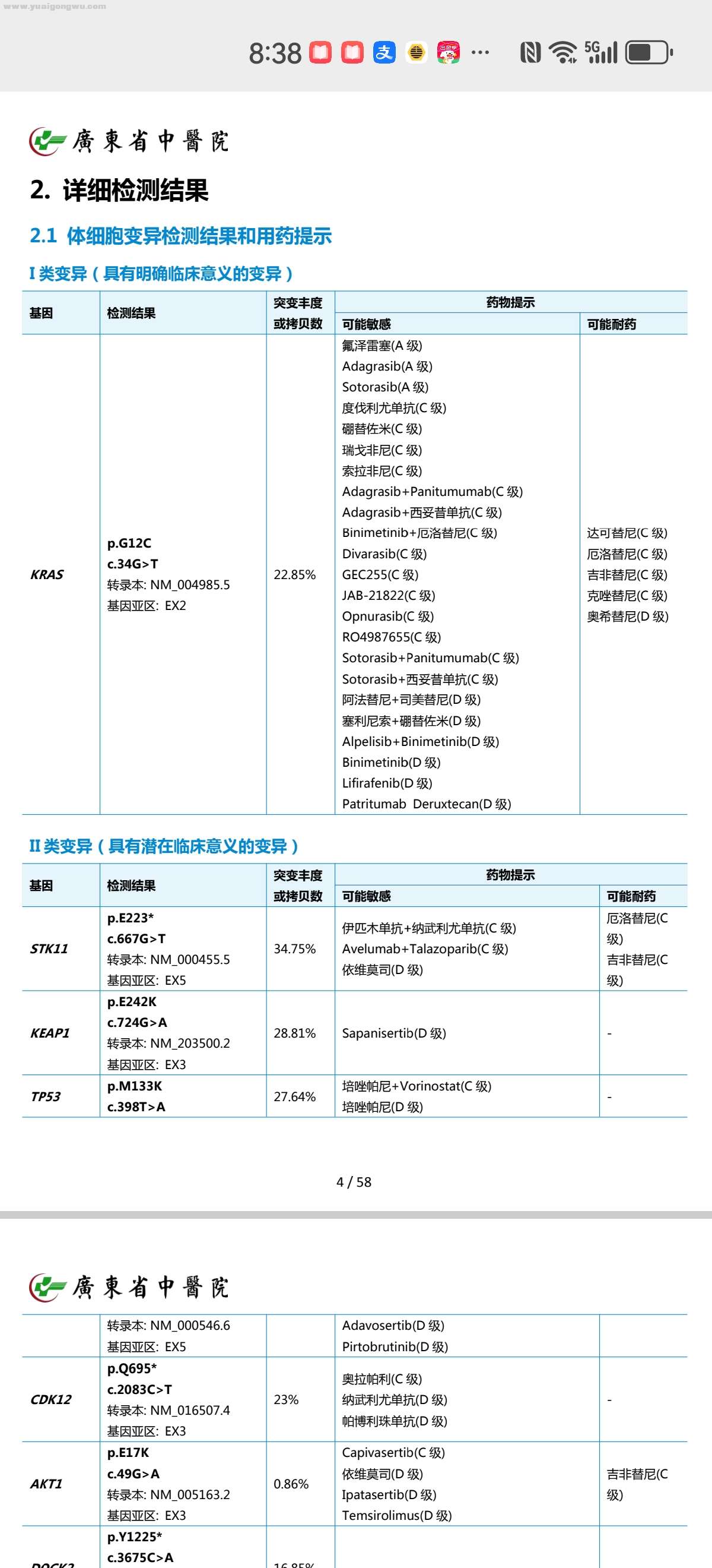 基因检测（I类变异）